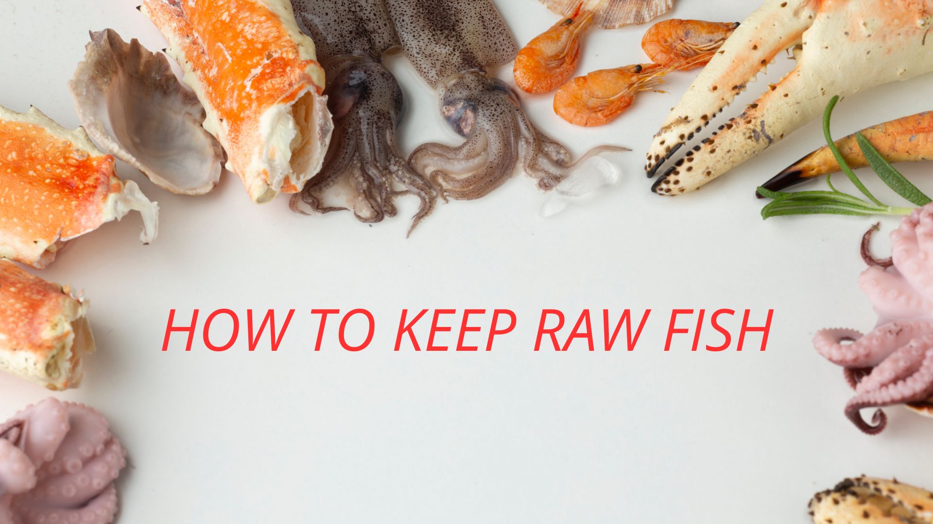 HOW TO KEEP RAW FISH